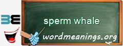 WordMeaning blackboard for sperm whale